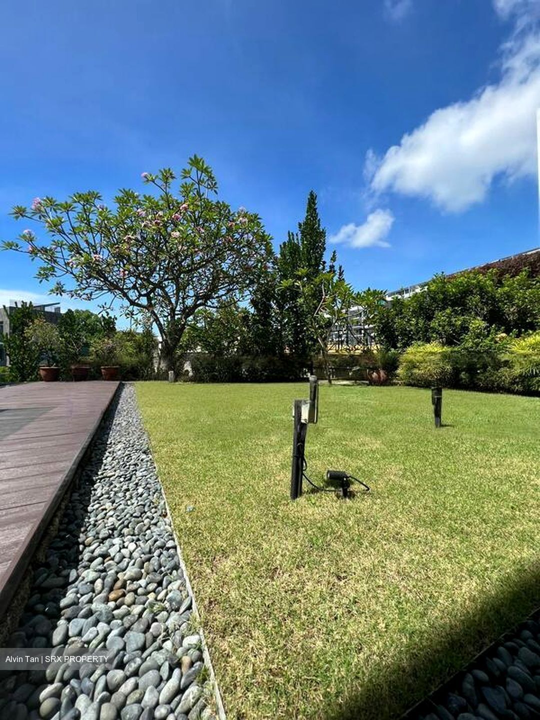 Cove Drive (D4), Detached #464388221